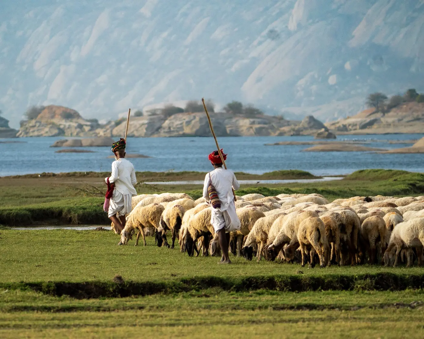 Village & Culture Safari